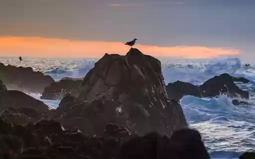 Waves and Rocks  from Chrome web store to be run with OffiDocs Chromium online