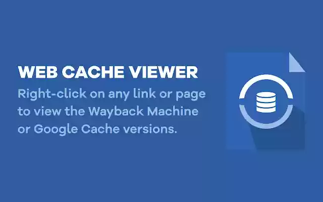 Web Cache Viewer  from Chrome web store to be run with OffiDocs Chromium online