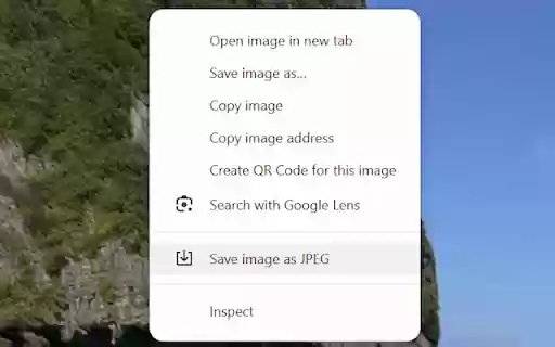 WebP to JPEG Converter  from Chrome web store to be run with OffiDocs Chromium online