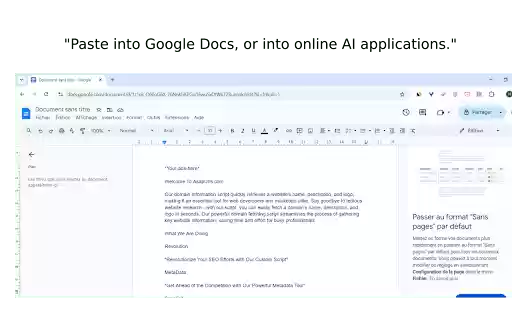 Website Content Copier  from Chrome web store to be run with OffiDocs Chromium online