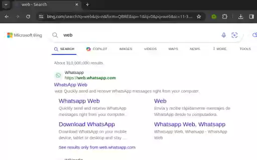 WebWise Search  from Chrome web store to be run with OffiDocs Chromium online
