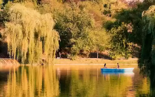 Weeping Trees by the Lake  from Chrome web store to be run with OffiDocs Chromium online