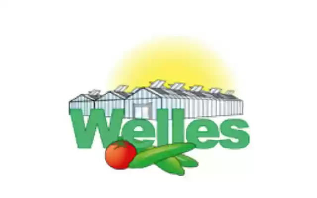 WellesBV  from Chrome web store to be run with OffiDocs Chromium online