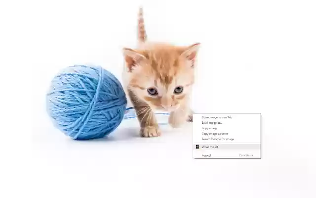 What the alt from Chrome web store to be run with OffiDocs Chromium online What the alt from Chrome web store to be run with OffiDocs Chromium online