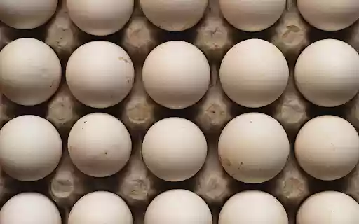White chicken egg tray  from Chrome web store to be run with OffiDocs Chromium online