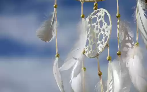 White feathers  from Chrome web store to be run with OffiDocs Chromium online