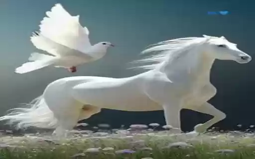 White horse and dove wallpaper  from Chrome web store to be run with OffiDocs Chromium online
