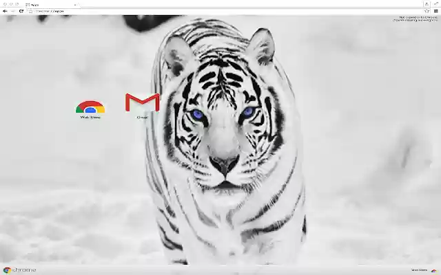 White Tiger Theme from Chrome web store to be run with OffiDocs Chromium online White Tiger Theme from Chrome web store to be run with OffiDocs Chromium online