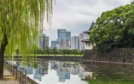 Willows by the Lake from Chrome web store to be run with OffiDocs Chromium online Willows by the Lake from Chrome web store to be run with OffiDocs Chromium online