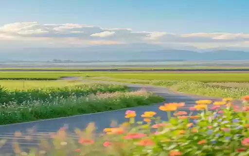 Winding road through green fields Wallpaper  from Chrome web store to be run with OffiDocs Chromium online