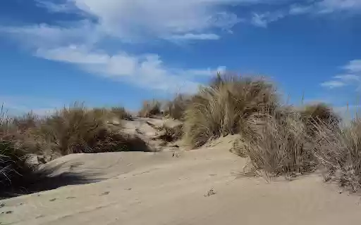 Windswept Sand Dunes  from Chrome web store to be run with OffiDocs Chromium online