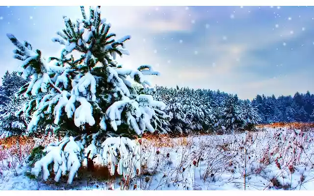 winter❄️  from Chrome web store to be run with OffiDocs Chromium online