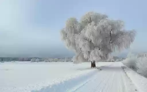 Winter and White Snow from Chrome web store to be run with OffiDocs Chromium online Winter and White Snow from Chrome web store to be run with OffiDocs Chromium online