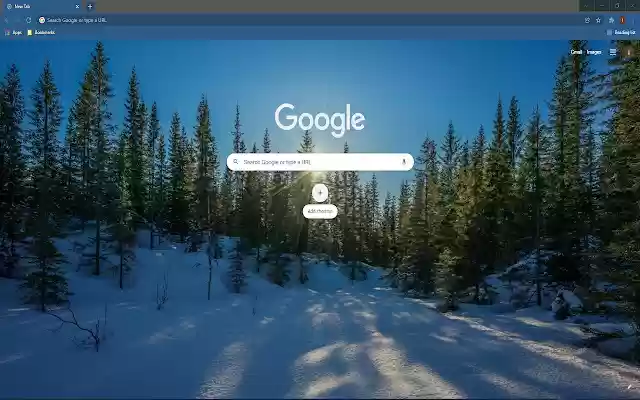 Winter Forest HD Wallpaper Theme  from Chrome web store to be run with OffiDocs Chromium online