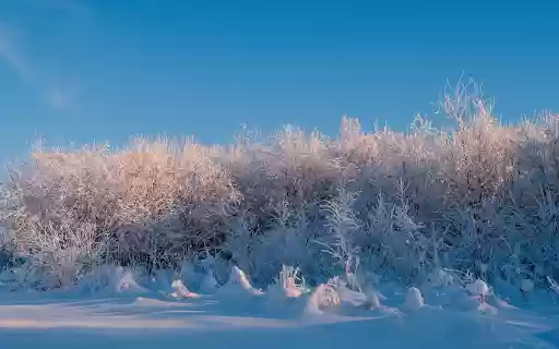 winter grass from Chrome web store to be run with OffiDocs Chromium online winter grass from Chrome web store to be run with OffiDocs Chromium online