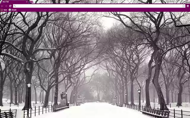 Winter Park from Chrome web store to be run with OffiDocs Chromium online Winter Park from Chrome web store to be run with OffiDocs Chromium online
