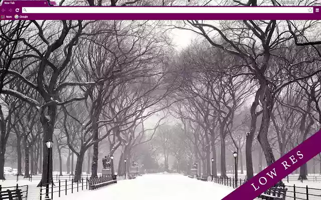 Winter Park Low Resolution from Chrome web store to be run with OffiDocs Chromium online Winter Park Low Resolution from Chrome web store to be run with OffiDocs Chromium online