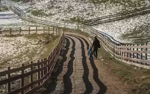 Winter Stroll on a Snowy Rural Path in Austria  from Chrome web store to be run with OffiDocs Chromium online