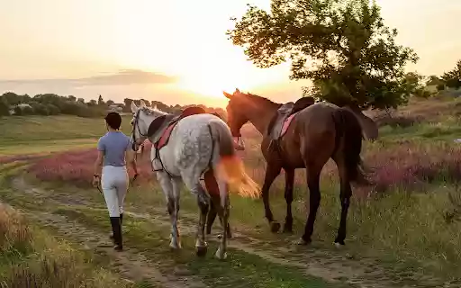 Woman leading two horses in sunset landscape from Chrome web store to be run with OffiDocs Chromium online Woman leading two horses in sunset landscape from Chrome web store to be run with OffiDocs Chromium online