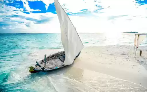 Wooden boat ran aground  from Chrome web store to be run with OffiDocs Chromium online