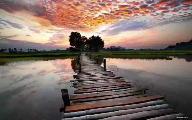 Wooden bridge  from Chrome web store to be run with OffiDocs Chromium online