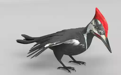 Woodpecker Ku  from Chrome web store to be run with OffiDocs Chromium online