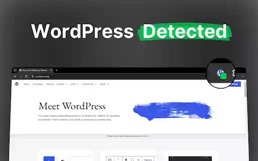 WordPress Theme and Plugin Detector  from Chrome web store to be run with OffiDocs Chromium online