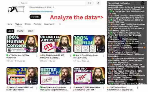 WordsAtScale YouTube Spy  from Chrome web store to be run with OffiDocs Chromium online