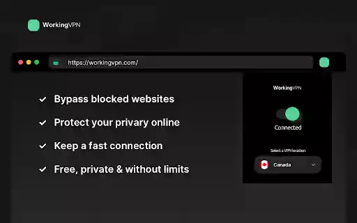 WorkingVPN The VPN that just works  from Chrome web store to be run with OffiDocs Chromium online