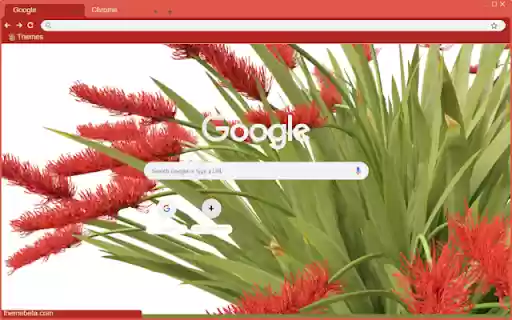 Xeronema  from Chrome web store to be run with OffiDocs Chromium online