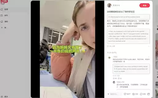 xiaohongshu translate  from Chrome web store to be run with OffiDocs Chromium online