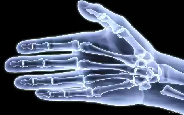 X ray  from Chrome web store to be run with OffiDocs Chromium online