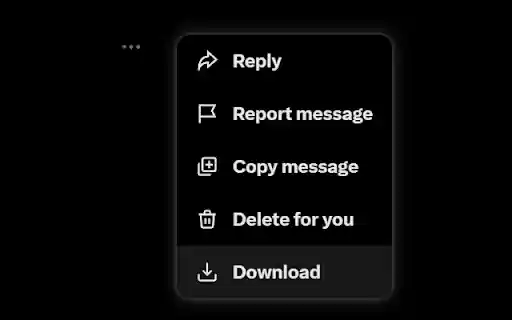 X/Twitter DM Downloader  from Chrome web store to be run with OffiDocs Chromium online