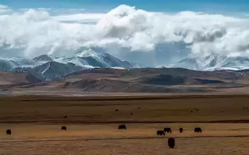 Yak Valley Serenity  from Chrome web store to be run with OffiDocs Chromium online