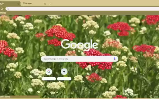 Yarrow Red  from Chrome web store to be run with OffiDocs Chromium online