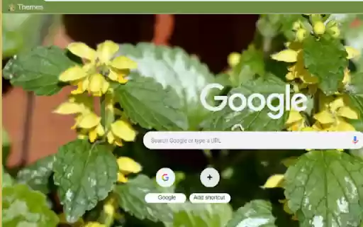 Yellow Archangel  from Chrome web store to be run with OffiDocs Chromium online