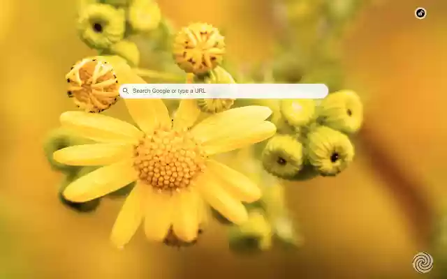 Yellow Background Daily  from Chrome web store to be run with OffiDocs Chromium online