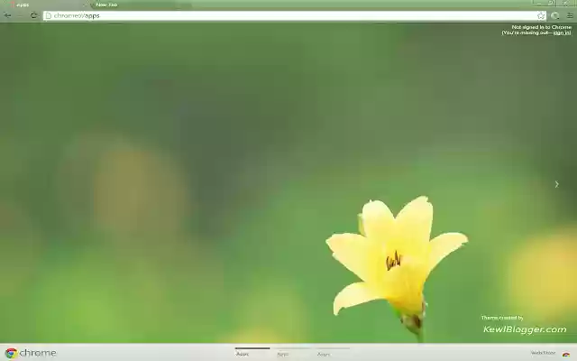 YellowFlower  from Chrome web store to be run with OffiDocs Chromium online