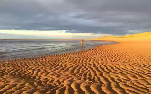 Yellow sand, blue sea  from Chrome web store to be run with OffiDocs Chromium online