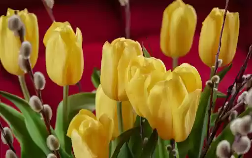 Yellow tulips and rosehips  from Chrome web store to be run with OffiDocs Chromium online