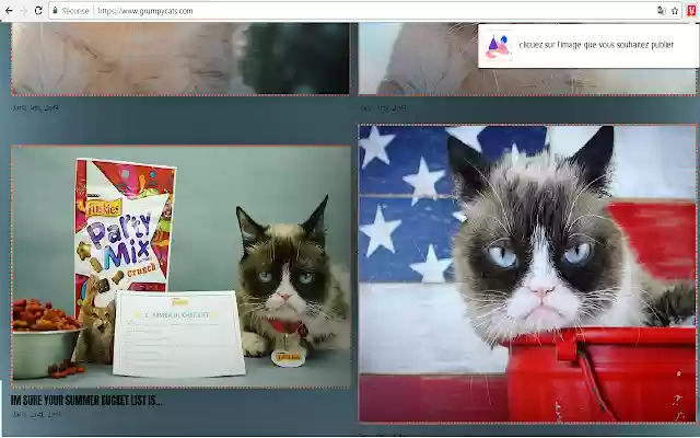 Youfamed from Chrome web store to be run with OffiDocs Chromium online Youfamed from Chrome web store to be run with OffiDocs Chromium online