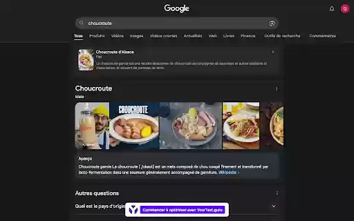 YourText.guru – Plugin Navigateur  from Chrome web store to be run with OffiDocs Chromium online