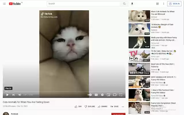 youtube_ad_remover  from Chrome web store to be run with OffiDocs Chromium online