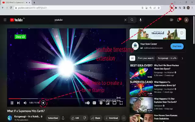 Youtube Bookmarker  from Chrome web store to be run with OffiDocs Chromium online