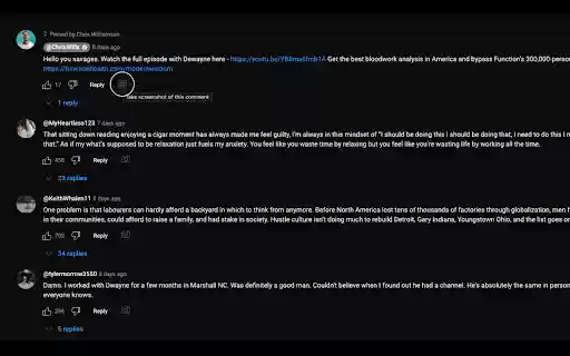 YouTube Comment Screenshot  from Chrome web store to be run with OffiDocs Chromium online