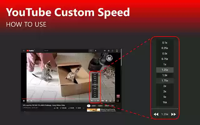 Youtube Custom Speed  from Chrome web store to be run with OffiDocs Chromium online
