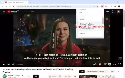 YouTube Double Subtitle  from Chrome web store to be run with OffiDocs Chromium online