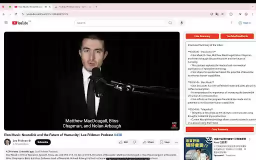 YouTubeFreeSummary  from Chrome web store to be run with OffiDocs Chromium online