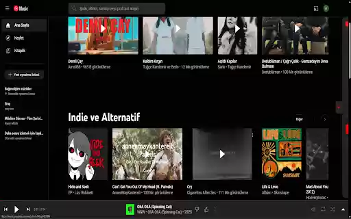 Youtube Music Together  from Chrome web store to be run with OffiDocs Chromium online