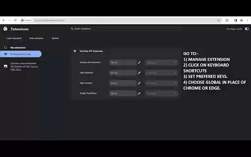YouTube PiP Extension  from Chrome web store to be run with OffiDocs Chromium online